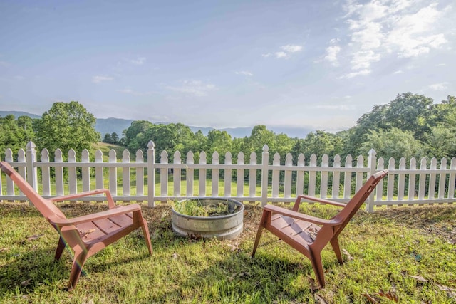 813 Stiner Ln, La Follette, TN 37766 - view of yard