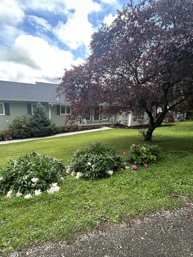 813 Stiner Ln, La Follette, TN 37766 - view of front facade with a front lawn