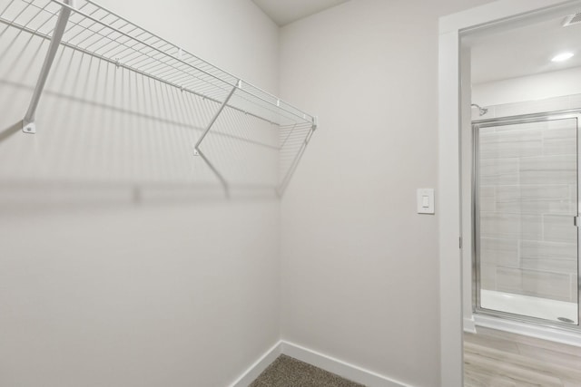 4232 Skyridge Dr, Nashville, TN 37207 - view of walk in closet
