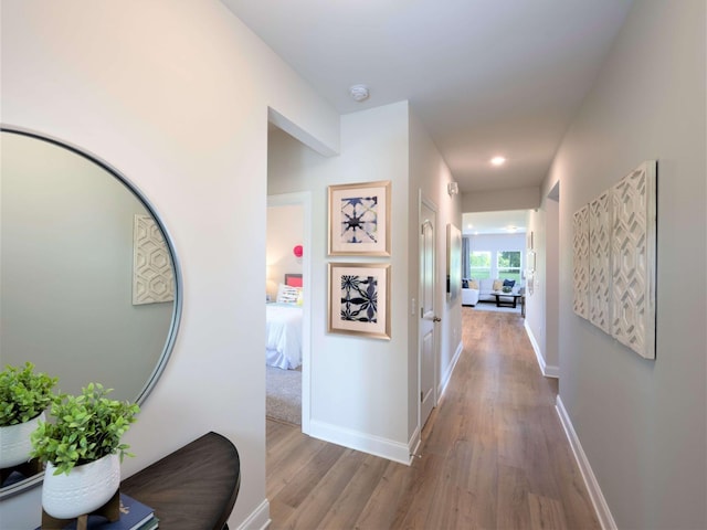 1343 Beasley Blvd, Mount Juliet, TN 37122 - hall with wood finished floors and baseboards