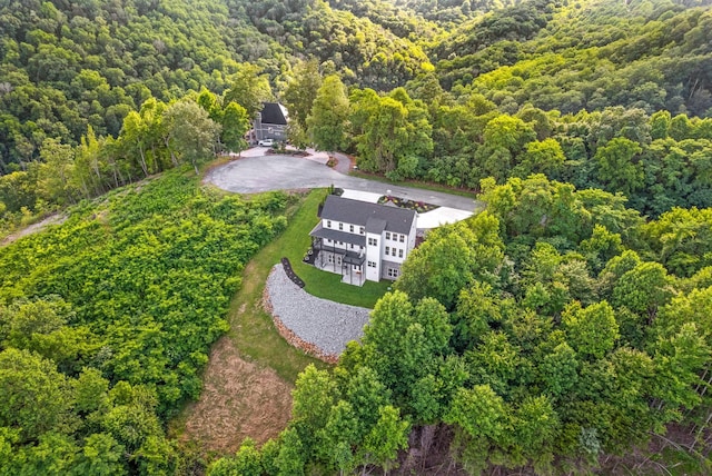 179 Deer Path Ct, Smithville, TN 37166 - view of subject property featuring a forest