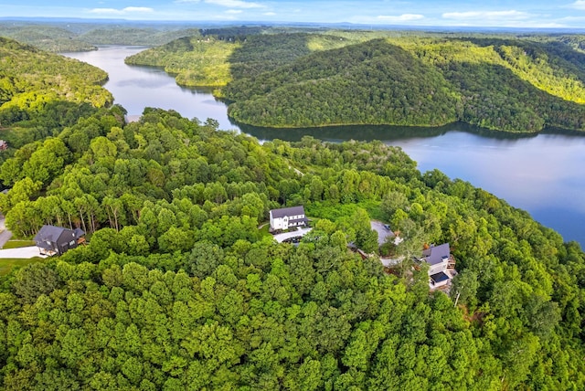 179 Deer Path Ct, Smithville, TN 37166 - drone / aerial view of a forest and a nearby body of water