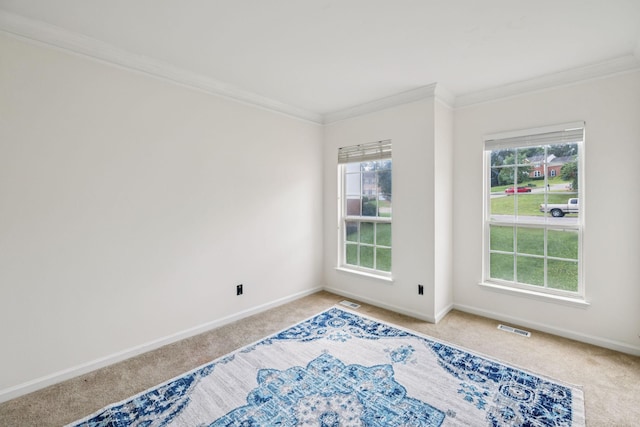205 Caneel Cv, Hermitage, TN 37076 - empty room featuring carpet floors, crown molding, and baseboards