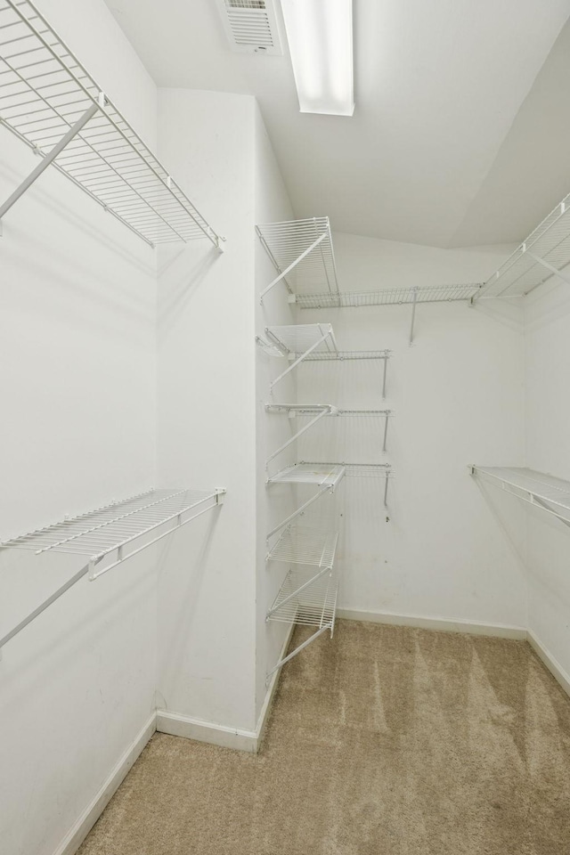 205 Caneel Cv, Hermitage, TN 37076 - spacious closet featuring carpet floors