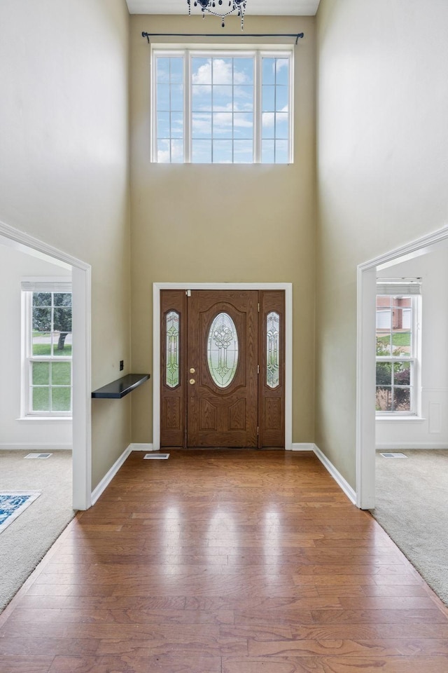 205 Caneel Cv, Hermitage, TN 37076 - foyer entrance featuring a towering ceiling, healthy amount of natural light, wood finished floors, and baseboards