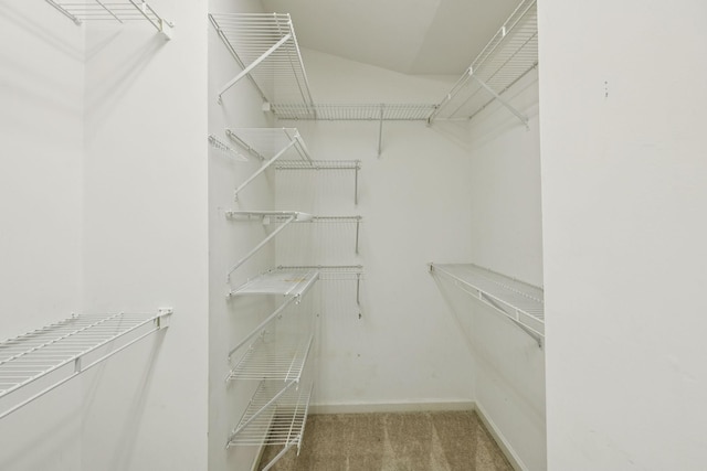 205 Caneel Cv, Hermitage, TN 37076 - spacious closet featuring carpet flooring