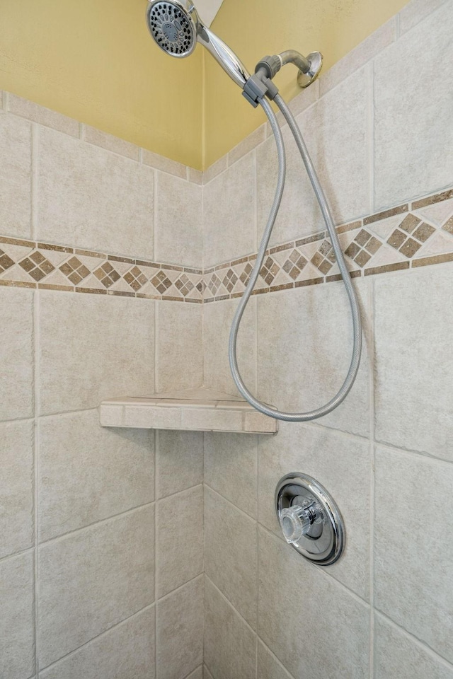 205 Caneel Cv, Hermitage, TN 37076 - bathroom view of a tile shower and pet washing area