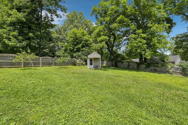 205 Caneel Cv, Hermitage, TN 37076 - view of yard