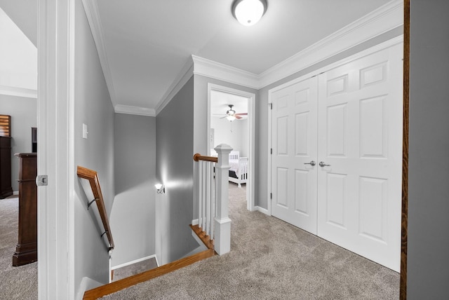 3008 Nepsa Ct, Clarksville, TN 37040 - photo 31