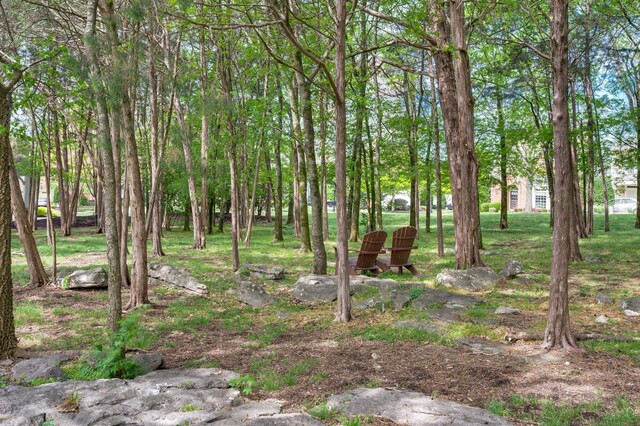 8825 Caswick Ct, Nolensville, TN 37135 - view of yard