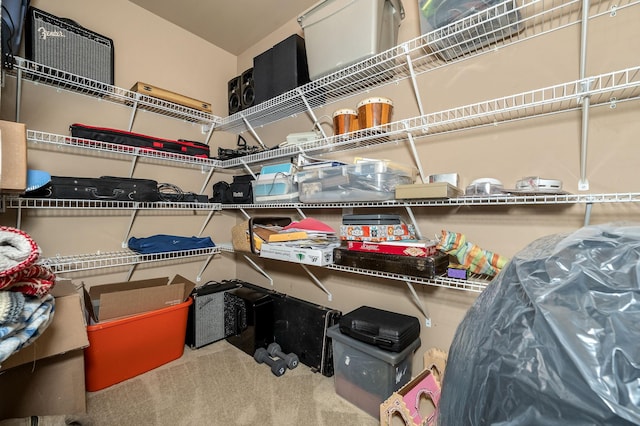 2245 Alexander Blvd, Murfreesboro, TN 37130 - view of storage area