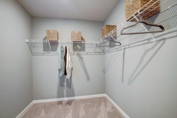 280 Subban Ct, Lebanon, TN 37087 - spacious closet featuring carpet floors