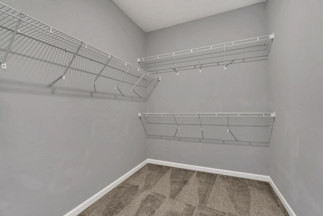 304 Durum St, Shelbyville, TN 37160 - photo 21