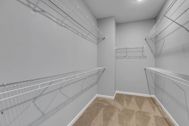4015 Brazelton Way, Fairview, TN 37062 - walk in closet with light colored carpet