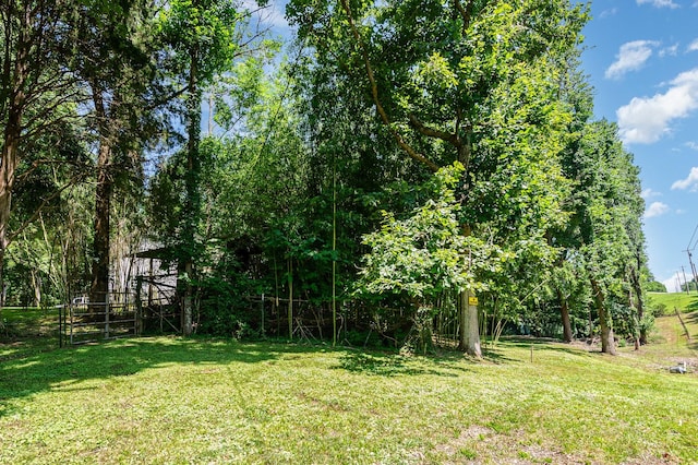 9964 Coles Ferry Pike, Lebanon, TN 37087 - photo 30