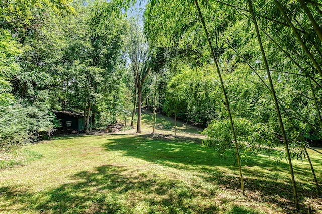 9964 Coles Ferry Pike, Lebanon, TN 37087 - photo 31