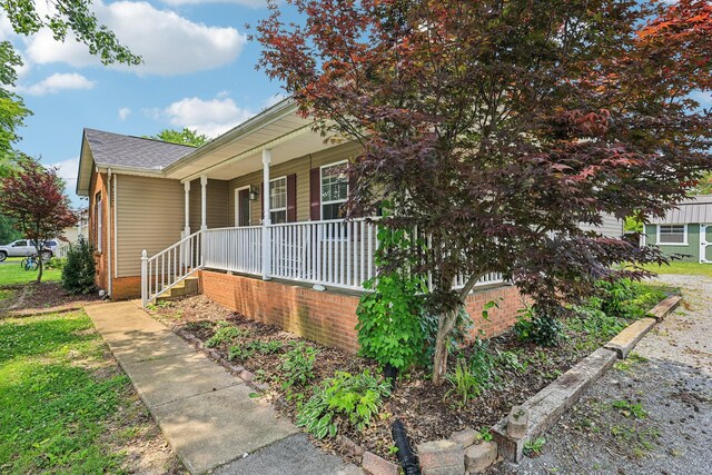 113 Paigewood Dr, Portland, TN 37148 - photo 9
