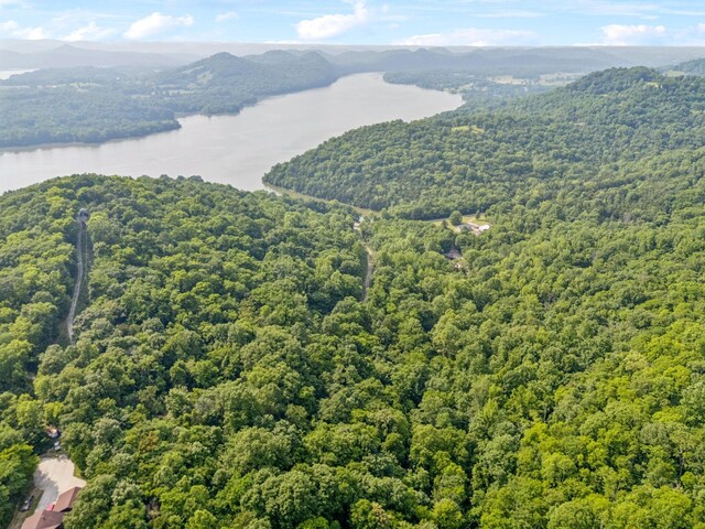 216 Sullivan Bend Rd, Elmwood, TN 38560 - photo 5