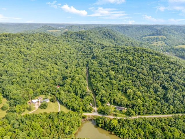 216 Sullivan Bend Rd, Elmwood, TN 38560 - photo 2