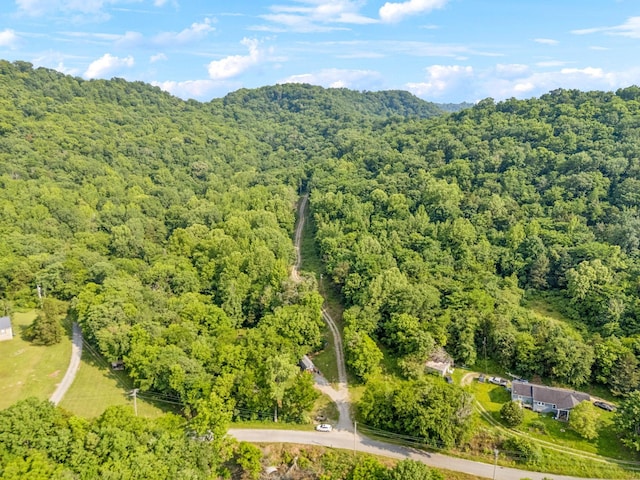 216 Sullivan Bend Rd, Elmwood, TN 38560 - photo 3