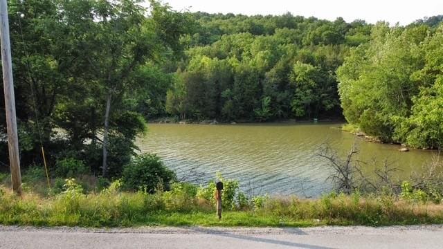216 Sullivan Bend Rd, Elmwood, TN 38560 - photo 12