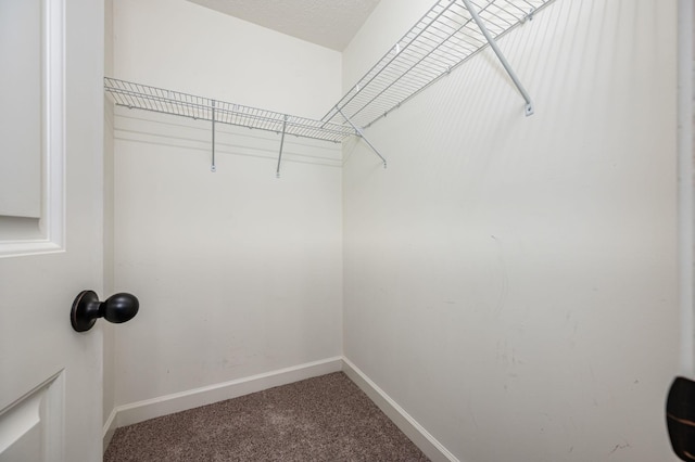 167 Lancaster St, Hillsboro, TN 37342 - spacious closet featuring carpet