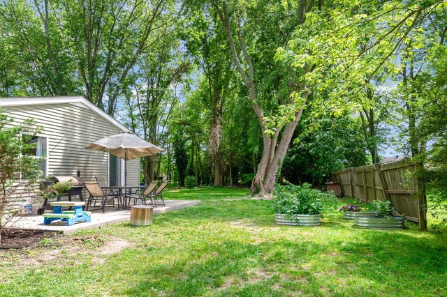 349 Dawn Dr, Cedar Hill, TN 37032 - view of yard featuring a patio and a vegetable garden