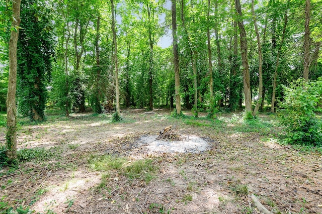 349 Dawn Dr, Cedar Hill, TN 37032 - view of tree filled area