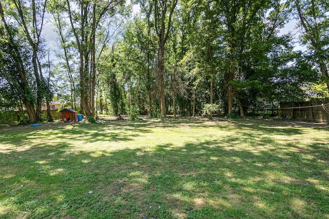 349 Dawn Dr, Cedar Hill, TN 37032 - photo 30