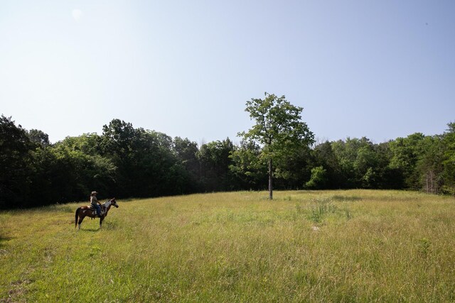 2825 Oregon Rd, Milton, TN 37118 - view of yard featuring a forest view and a view of countryside