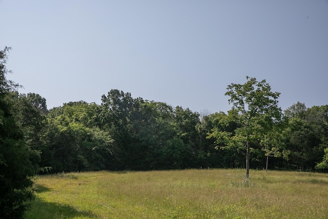 2825 Oregon Rd, Milton, TN 37118 - view of yard featuring a view of trees