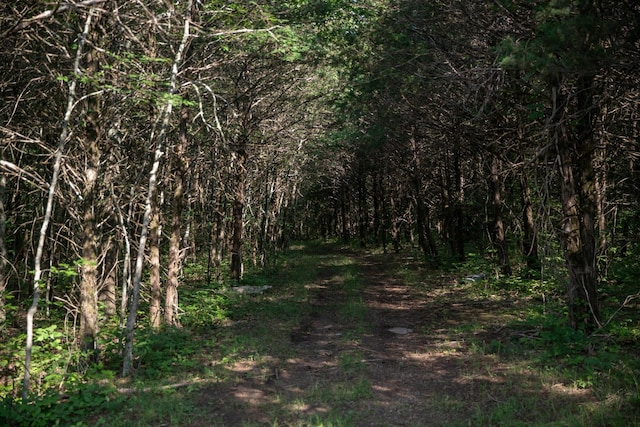 2825 Oregon Rd, Milton, TN 37118 - view of woods