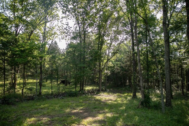 2825 Oregon Rd, Milton, TN 37118 - view of wooded area