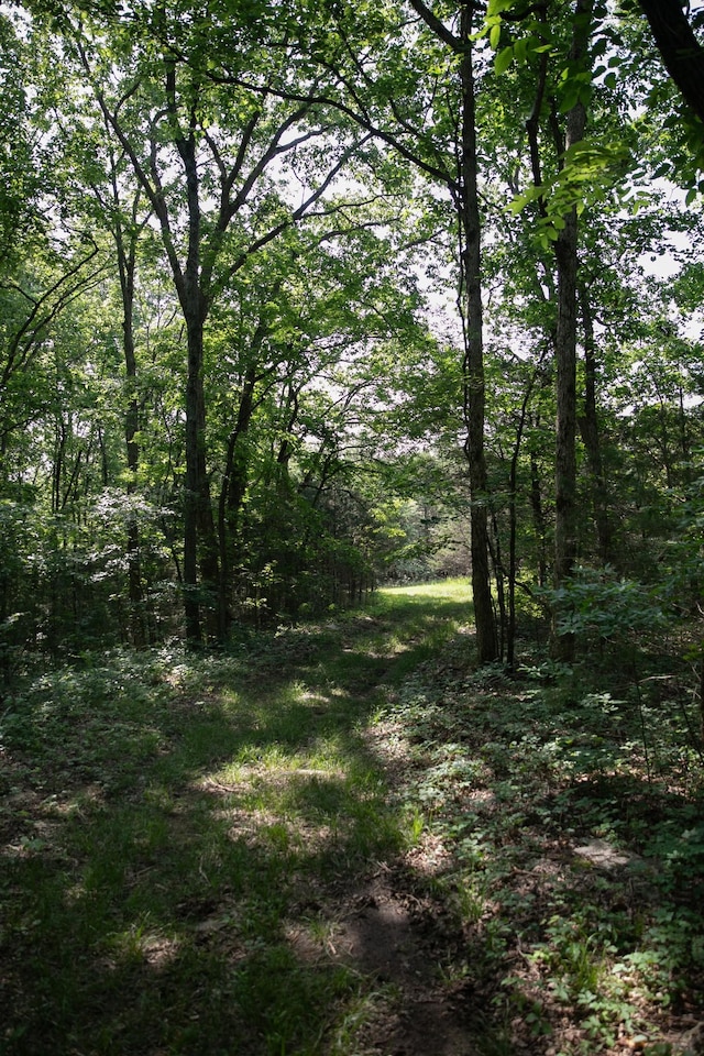 2825 Oregon Rd, Milton, TN 37118 - view of tree filled area