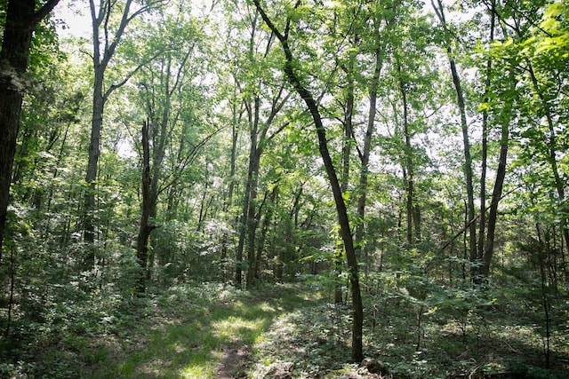 2825 Oregon Rd, Milton, TN 37118 - view of wooded area