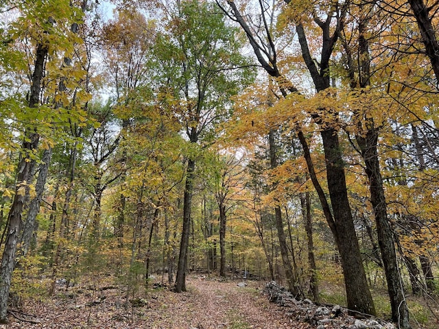 2825 Oregon Rd, Milton, TN 37118 - view of wooded area