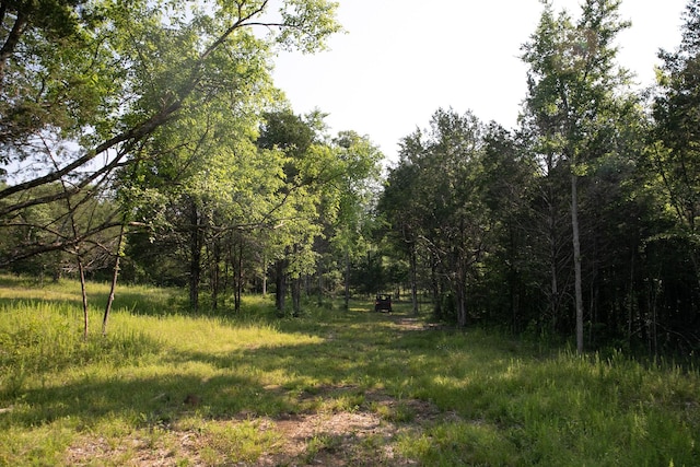 2825 Oregon Rd, Milton, TN 37118 - view of wooded area
