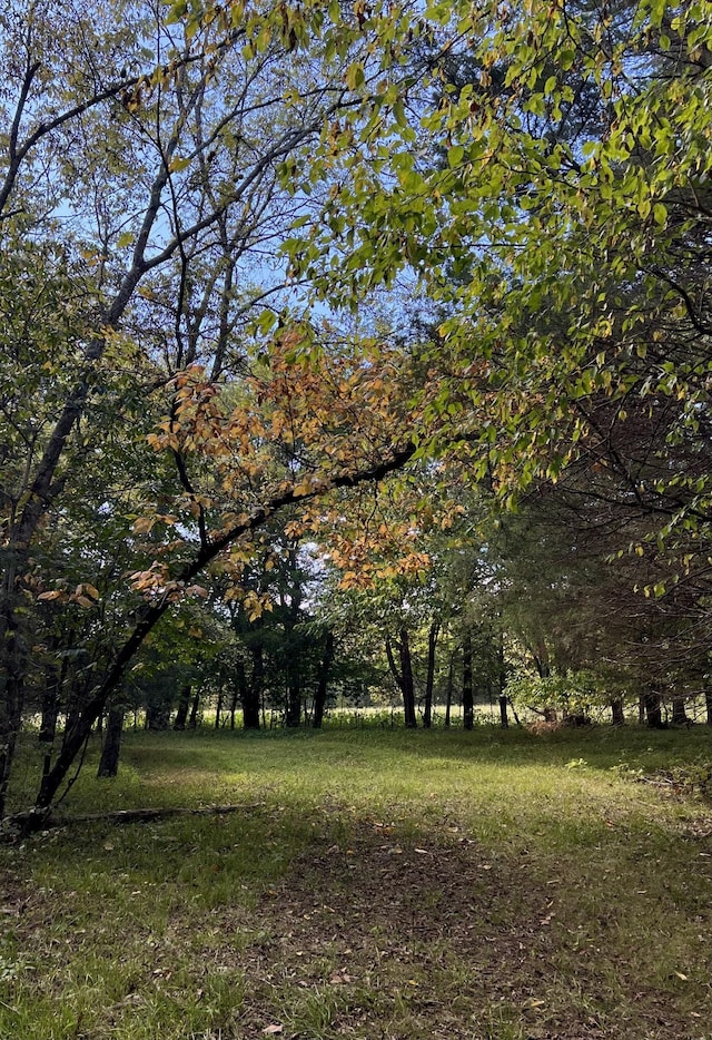 2825 Oregon Rd, Milton, TN 37118 - view of yard