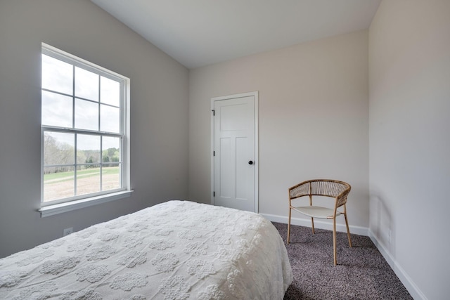 1502 Rock Springs Rd, Cumberland Furnace, TN 37051 - bedroom with carpet flooring and baseboards
