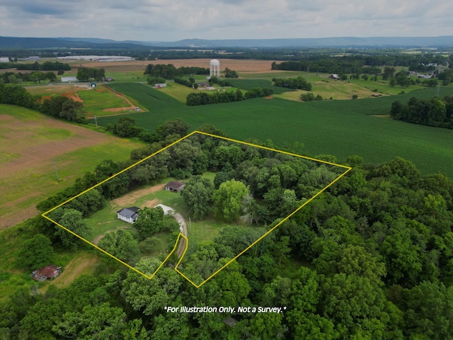 325 Francis Rd, Decherd, TN 37324 - aerial view of sparsely populated area featuring property boundaries highlighted