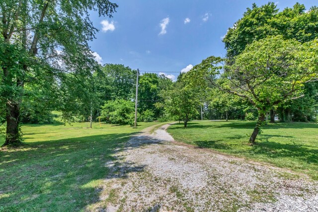 325 Francis Rd, Decherd, TN 37324 - view of dirt / gravel road