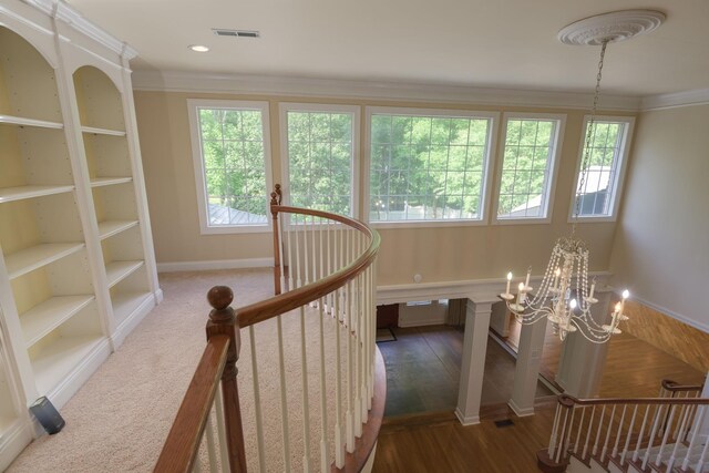 106 Annadel St, Murfreesboro, TN 37128 - photo 54