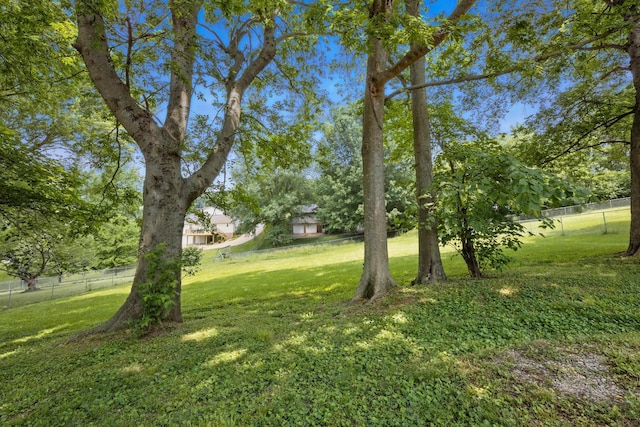 735 Jace Dr, Clarksville, TN 37040 - photo 27