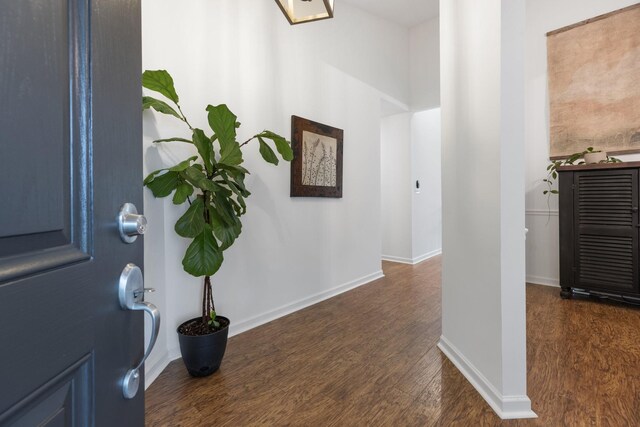 3164 Winberry Dr, Franklin, TN 37064 - entrance foyer featuring dark wood finished floors and baseboards