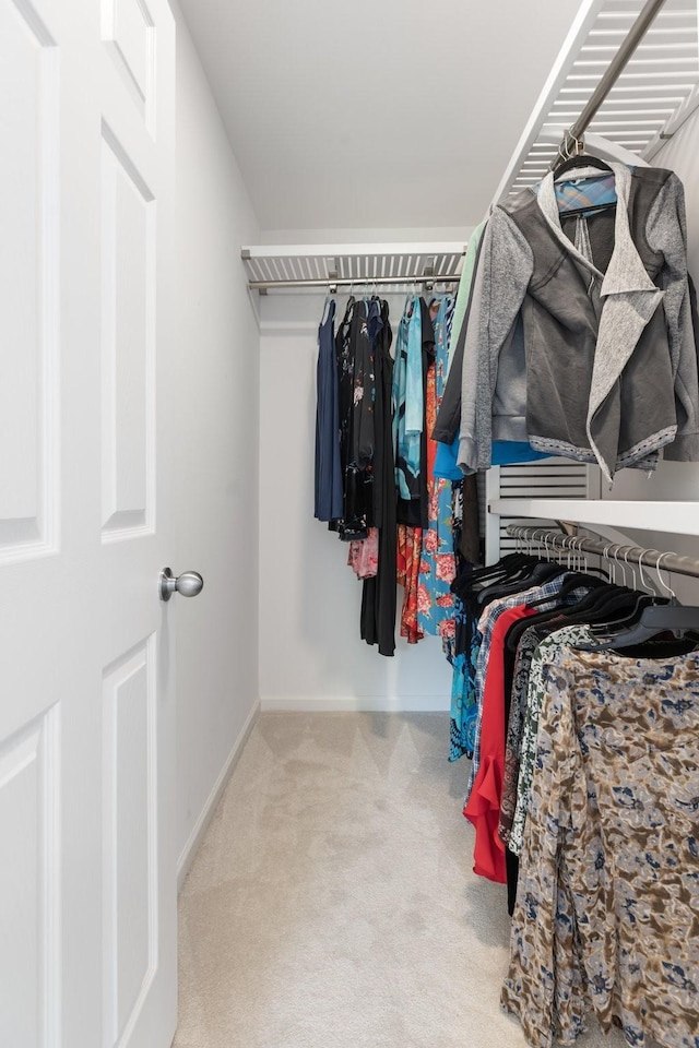 3164 Winberry Dr, Franklin, TN 37064 - walk in closet with carpet