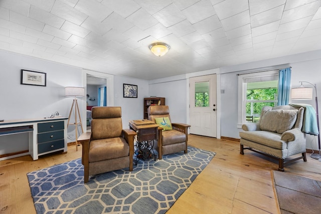 379 Gunson Ridge Rd, Cumberland City, TN 37050 - living area with light wood-style floors