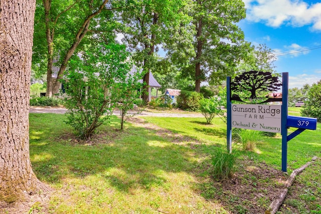379 Gunson Ridge Rd, Cumberland City, TN 37050 - view of community with a yard