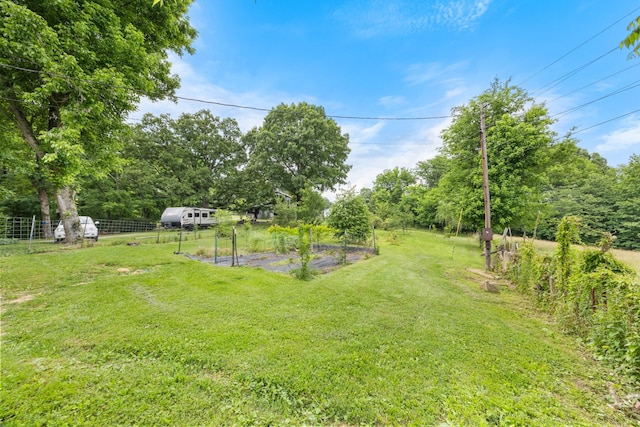 379 Gunson Ridge Rd, Cumberland City, TN 37050 - view of yard with a garden