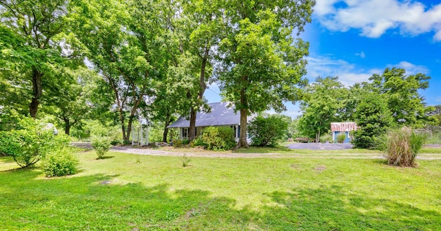 379 Gunson Ridge Rd, Cumberland City, TN 37050 - view of green lawn