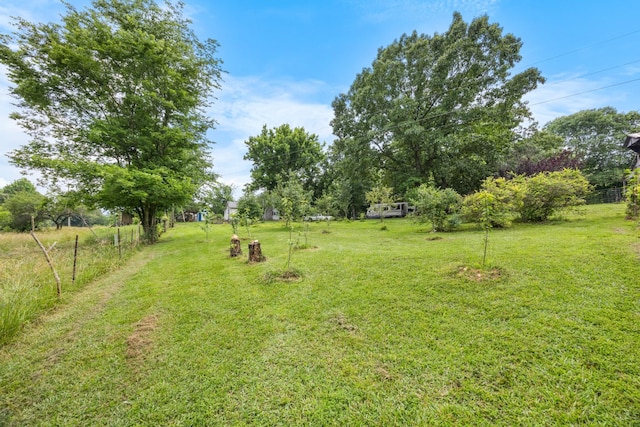 379 Gunson Ridge Rd, Cumberland City, TN 37050 - view of yard